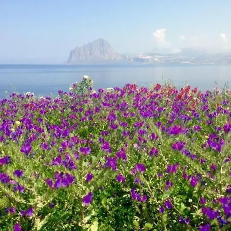 Dx Fiori D Arancio 公寓 Tonnara di Bonagia